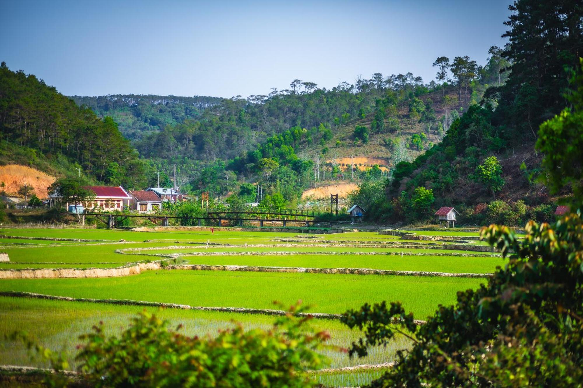 Nha Trong Ban - Homestay Mang Den Kon Von Kla Exterior photo